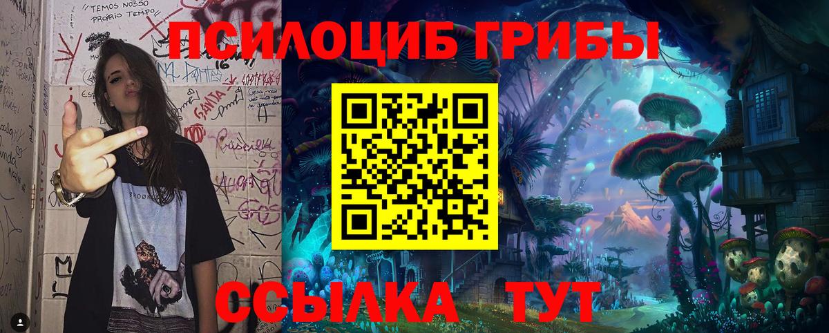 Галлюциногенные грибы GOLDEN TEACHER Ессентуки